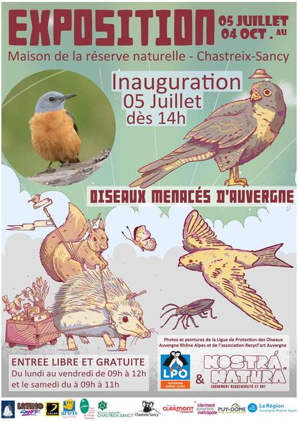 Exposition : les oiseaux menacés d'Auvergne