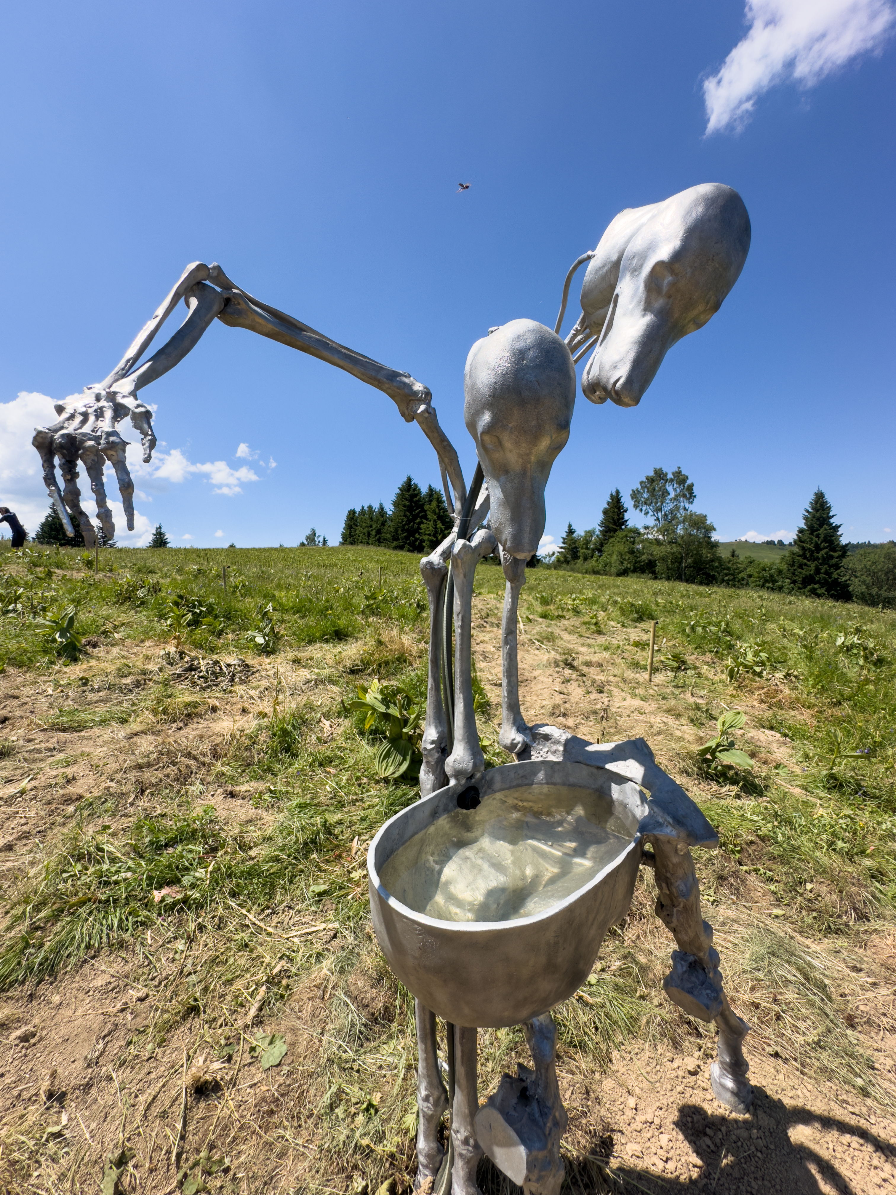 Sculpture de Guilia Cenci - Biennale Artocène