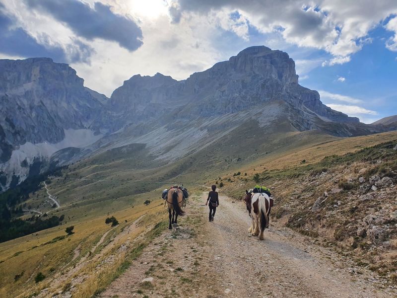 Route de montagne