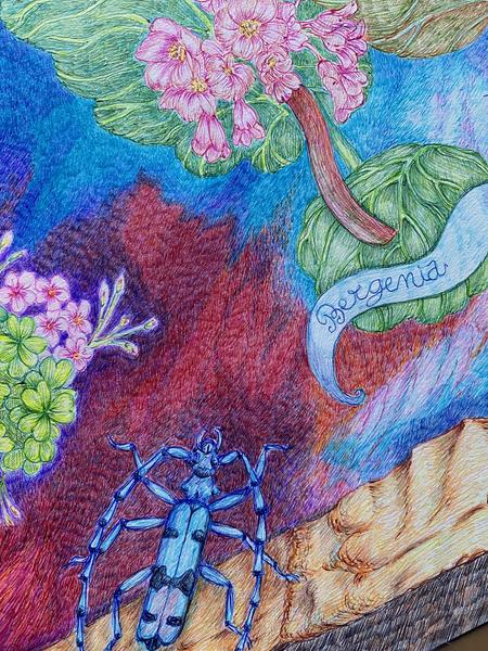 Printemps du dessin dans les jardins et au Château du Pin