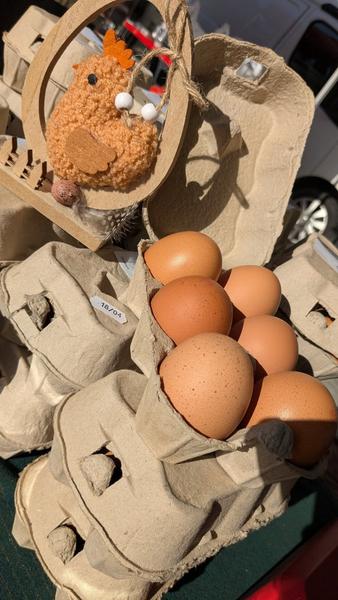 GAEC Dei Reïcampadis_Le Bourguet