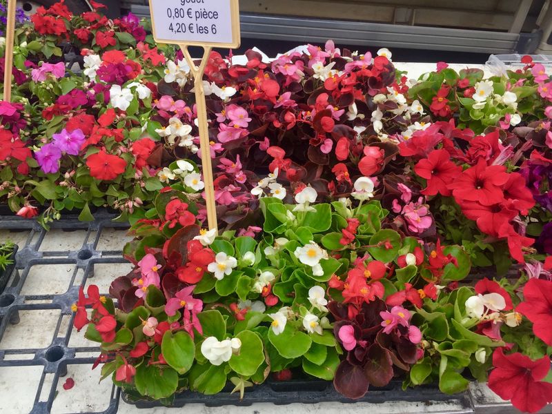 Marché Place Carnot