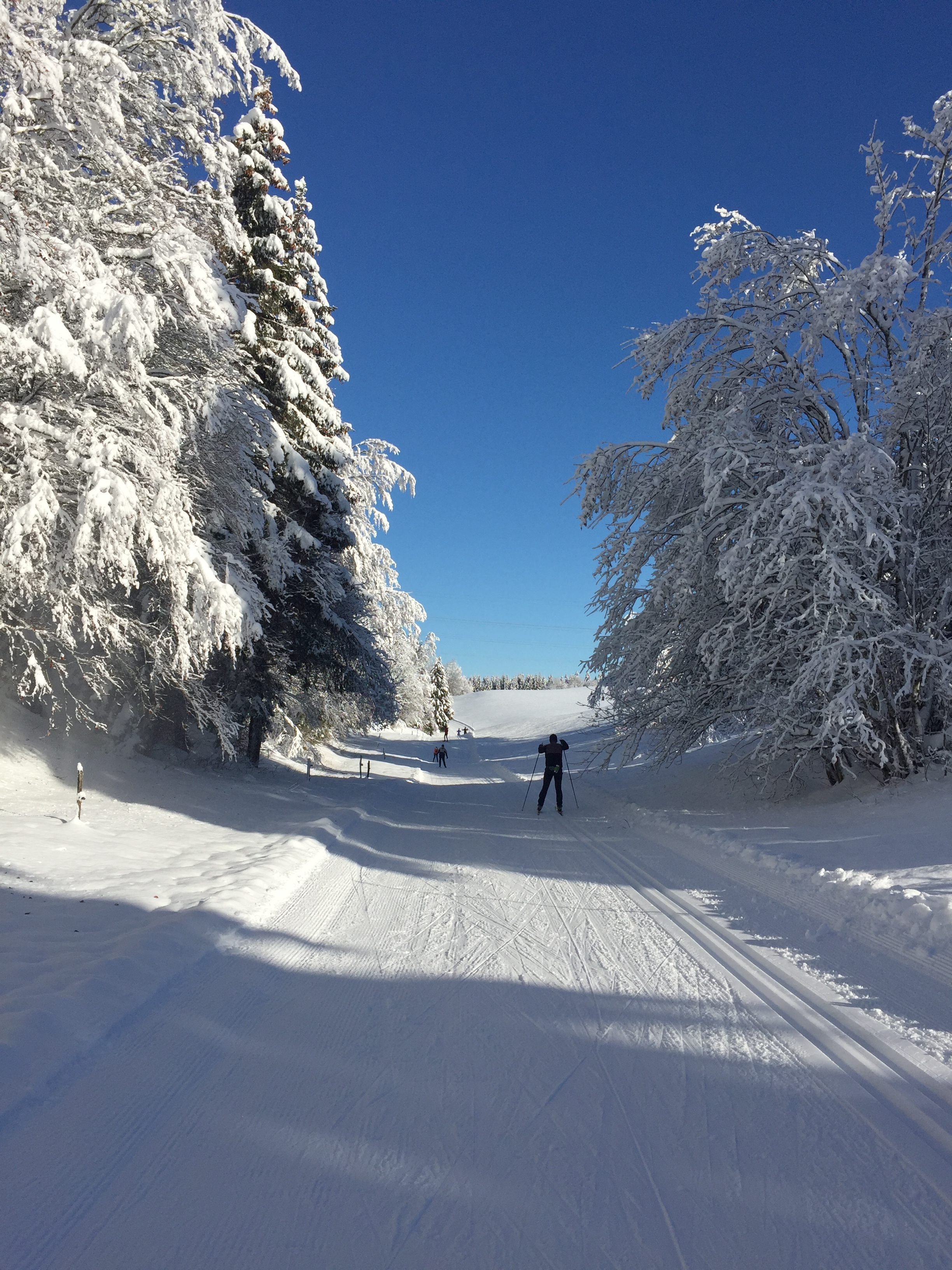 Piste verte de ski de fond du Plateau de Retord : La Vezeronce