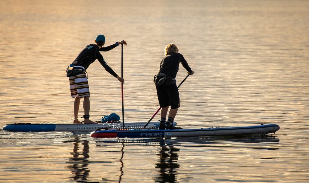 Paddle Board