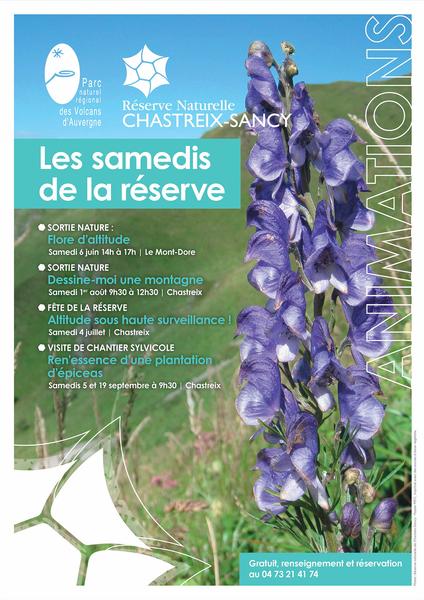 Sortie Nature : Ren’essence d’une plantation d’épicéas