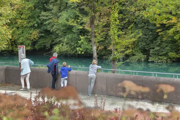 Promenade urbaine : Les berges du Rhne