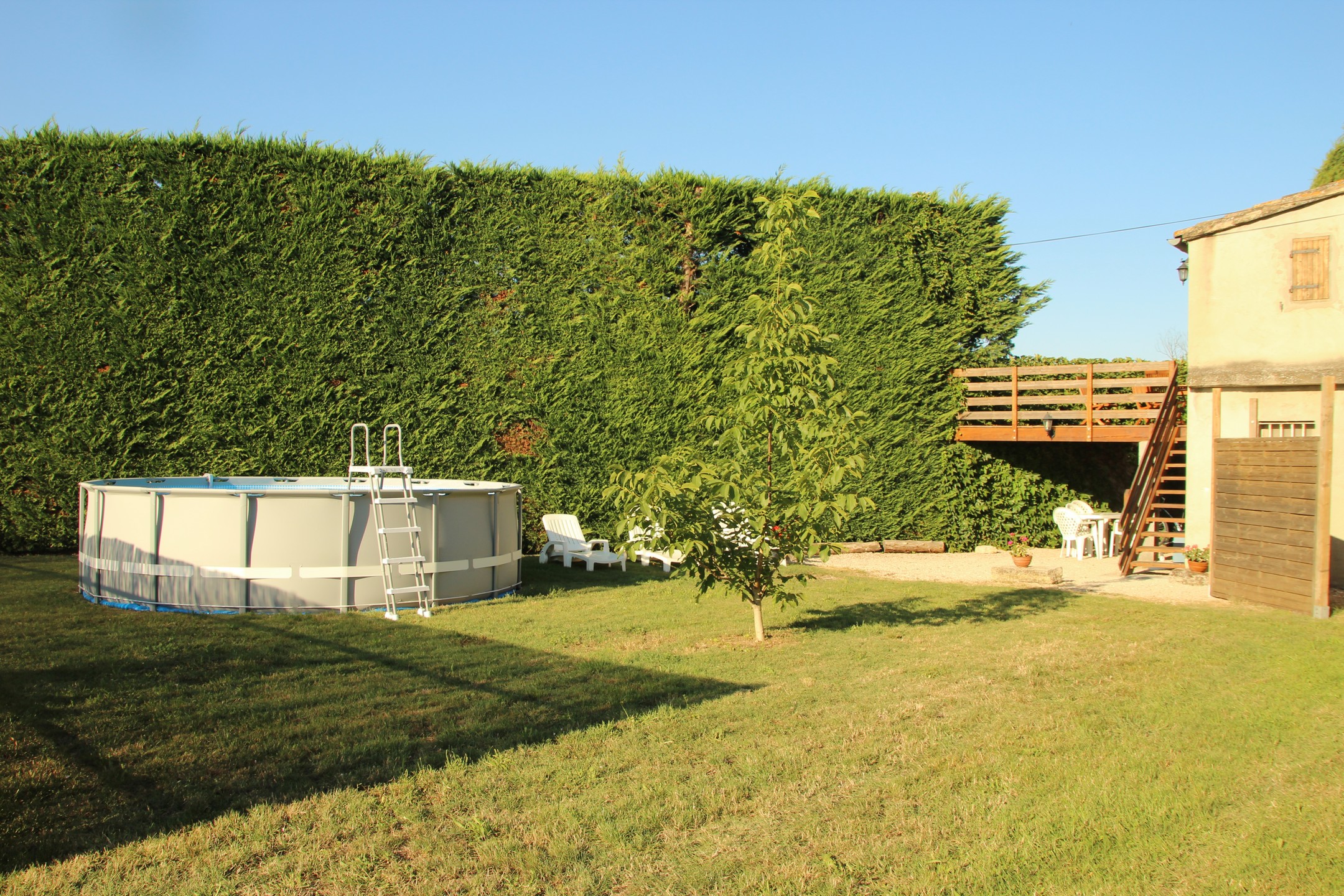 La Galine — photo 2