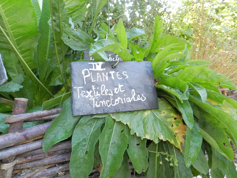 Visite du jardin médiéval de la sagesse