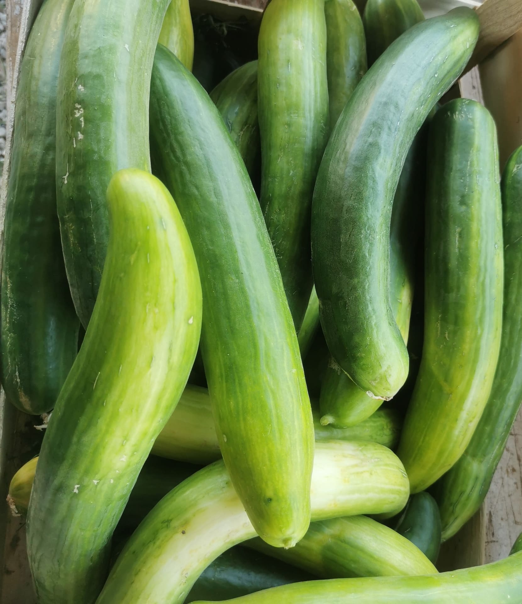Les Légumes d'Émilie - photo 2