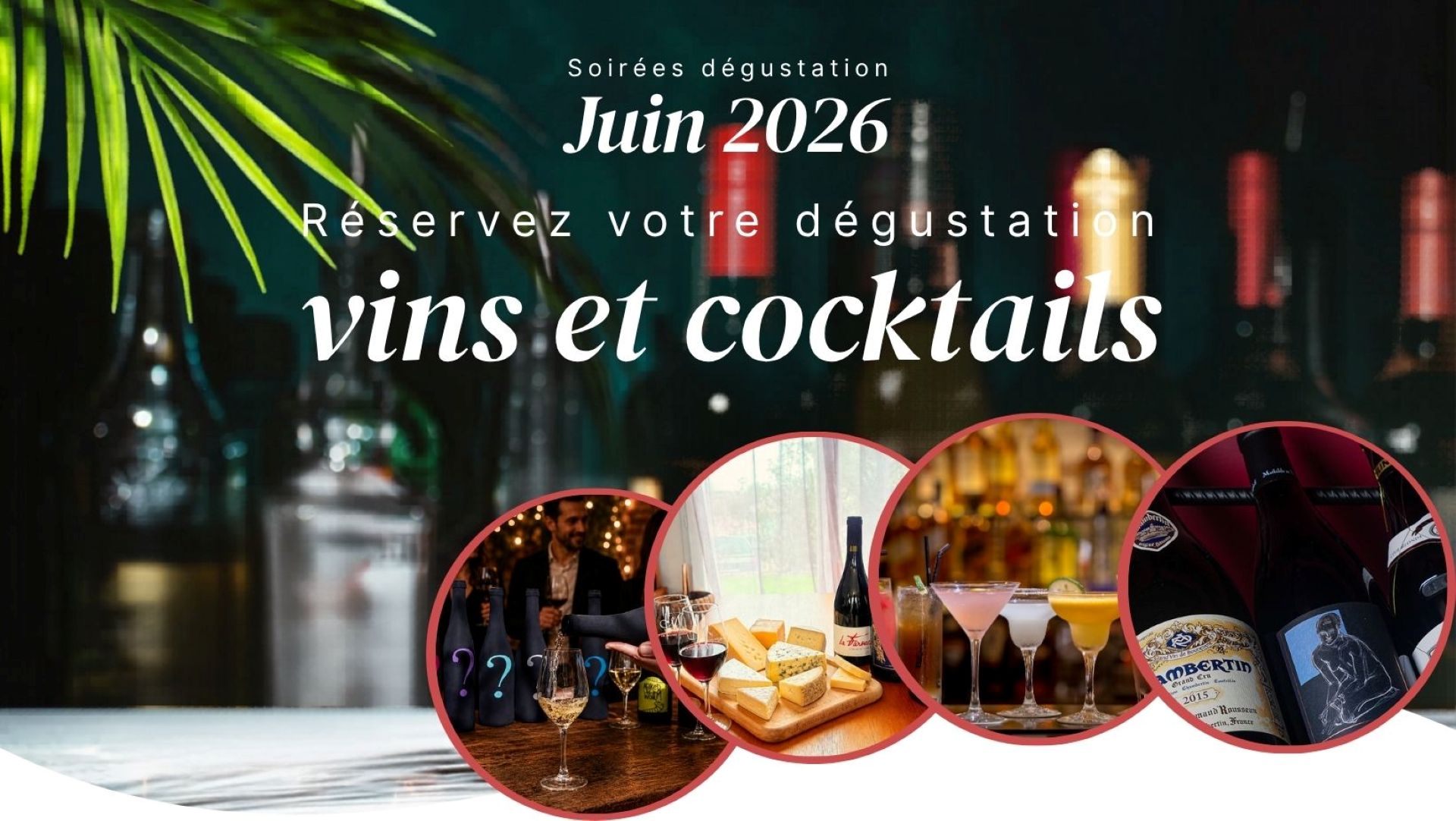 Soirée dégustation