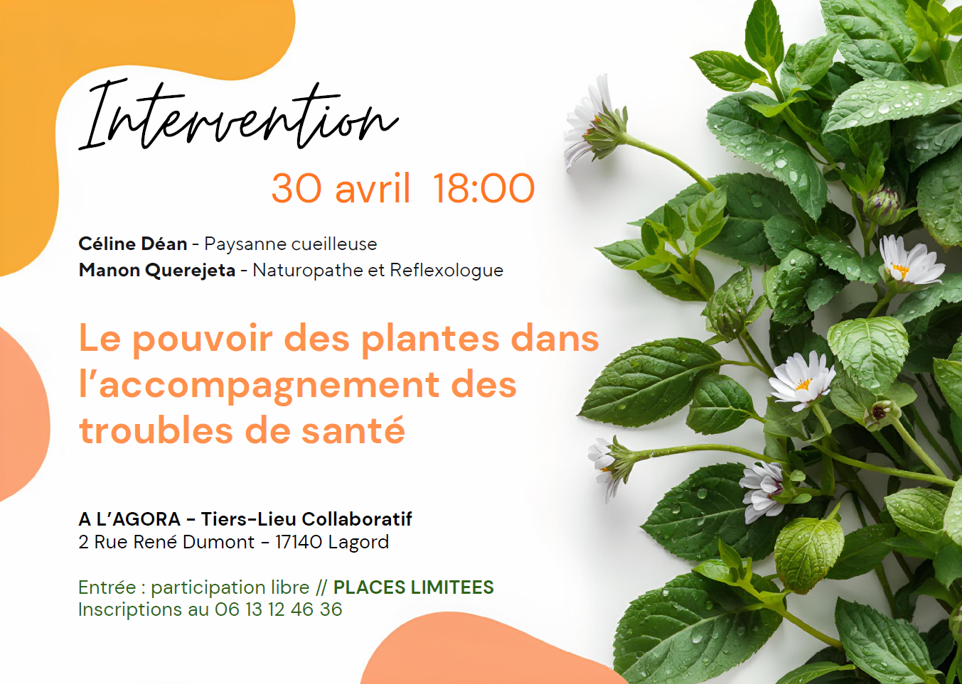 Conférence "Le pouvoir des plantes dans l’accompagnement des troubles de santé"