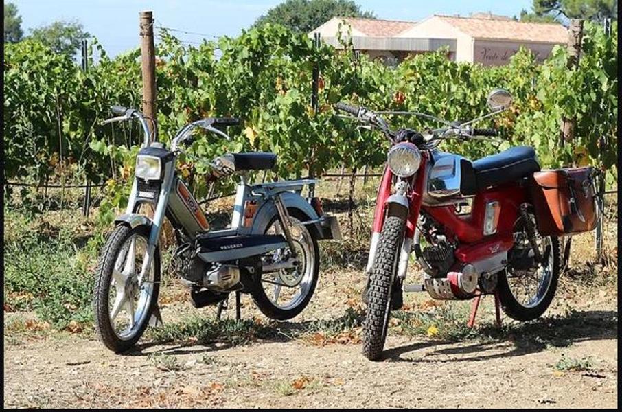 Vintage escape on a moped at Domaine Vintur