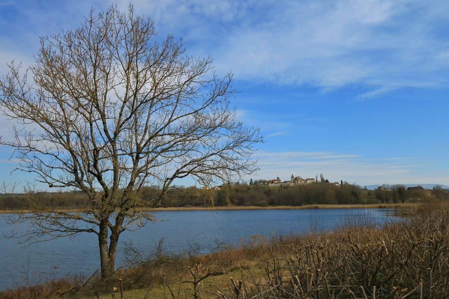 Étang de Salette_Courtenay_Balcons du Dauphiné_Isère