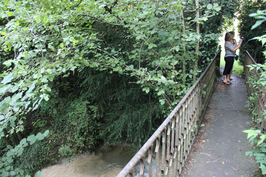 Parc Balland - Meillonnas