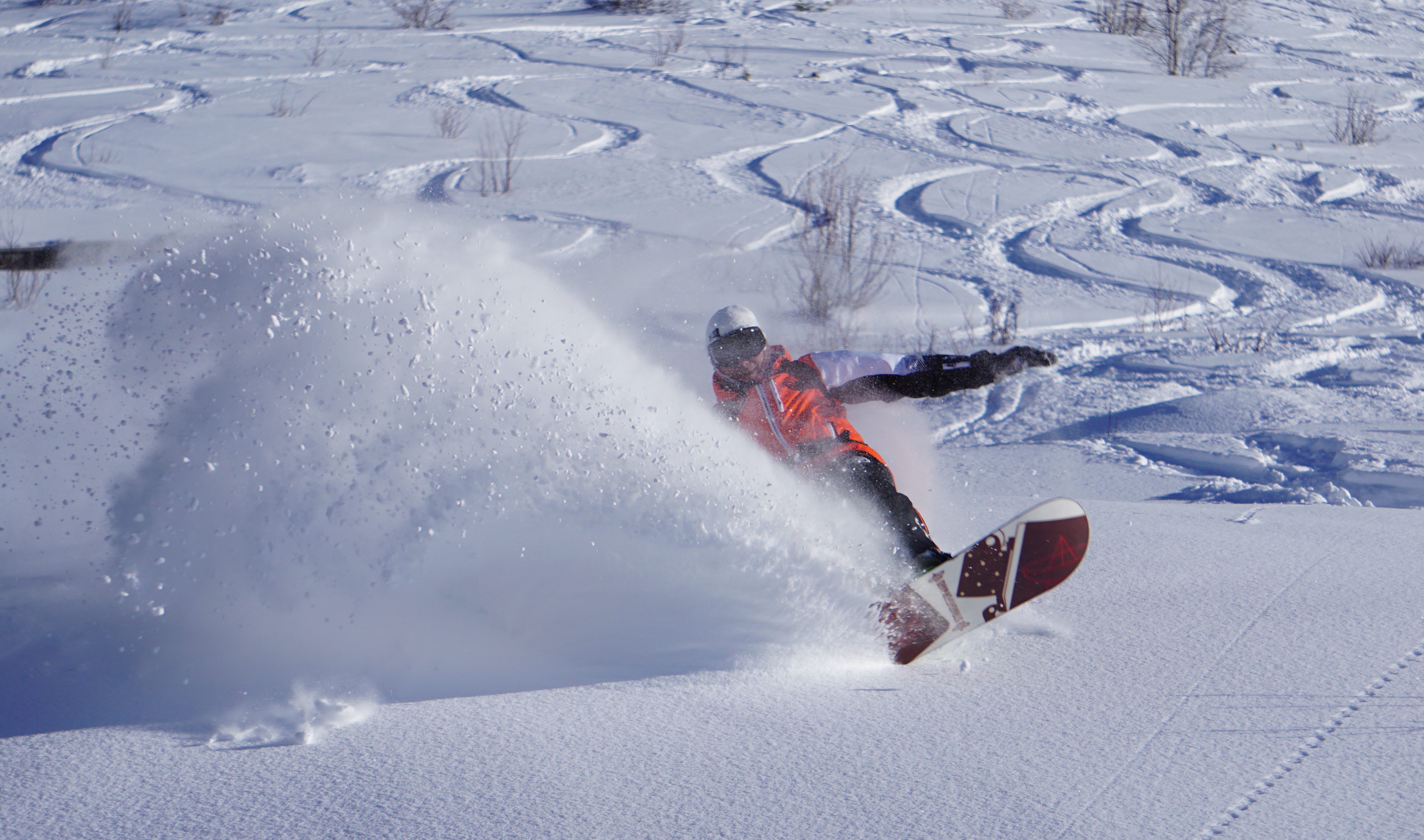 Ecole de ski Pro ski