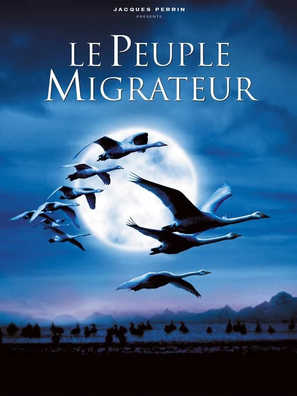 Cinéma plein air : "Le Peuple migrateur"_Voiron