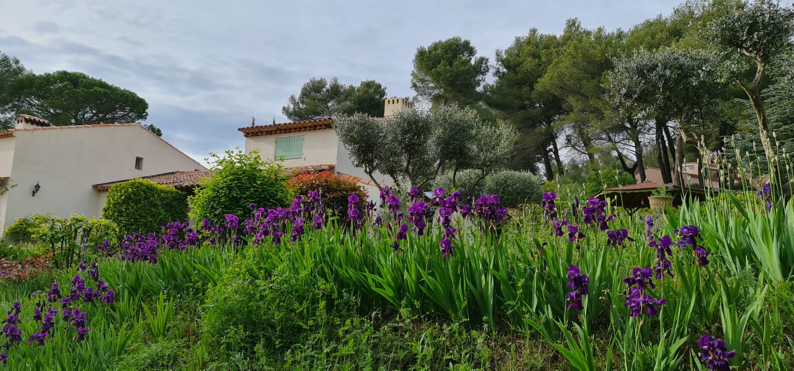 Les Hauts Pinchinats, Le Tholonet - photo 21