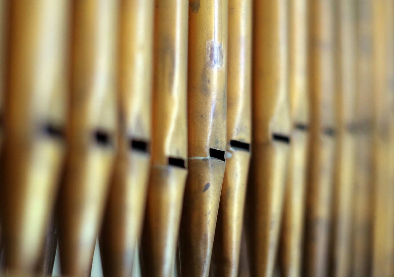 Orgue