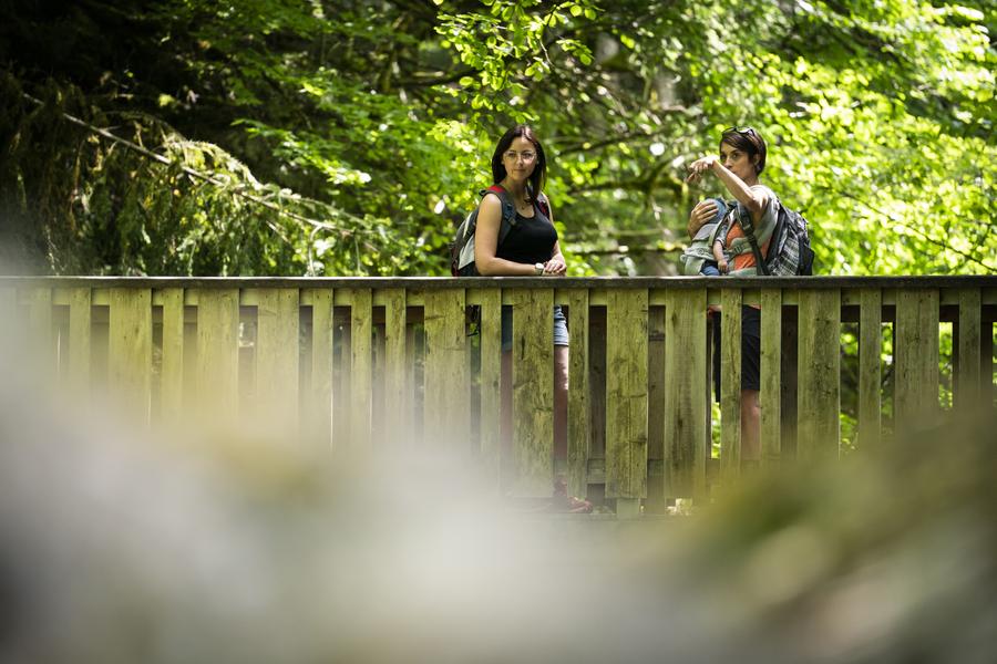 Sentier du Cozon - Entremont le Vieux