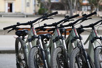 Location de vélos Porquerolles