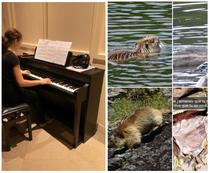 jeunes_talents_photo_piano.png