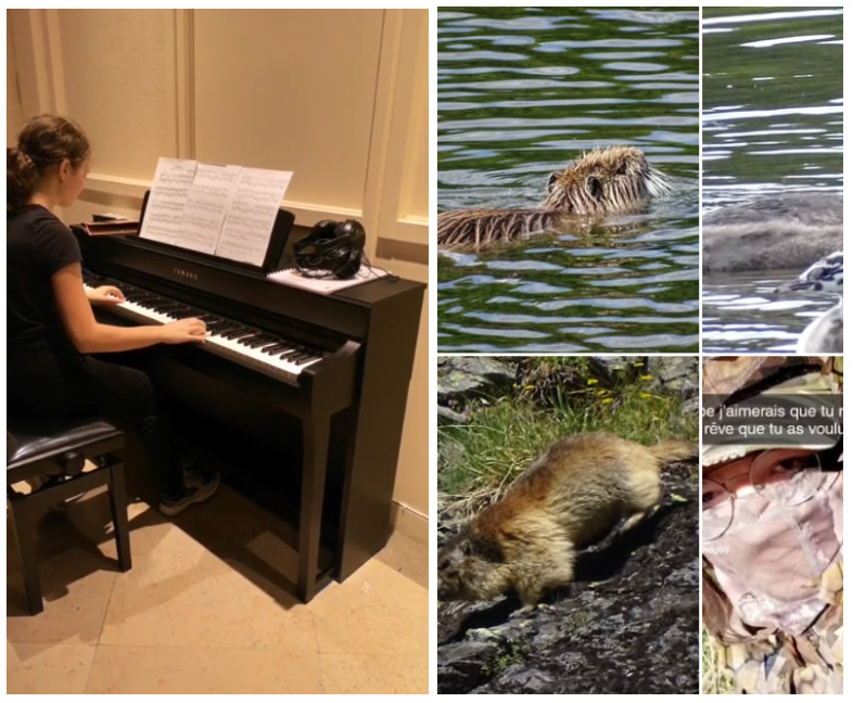 jeunes_talents_photo_piano.png