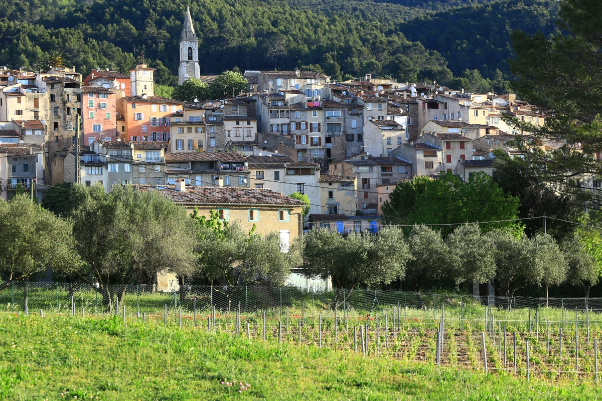 Marché Provençal — Événements sportifs à Var