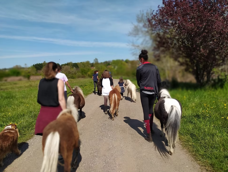 Ferme des Minis Chapeaux de paille_Saintry-sur-Seine