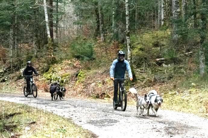 Activités chiens nordiques sur le plateau des Moises