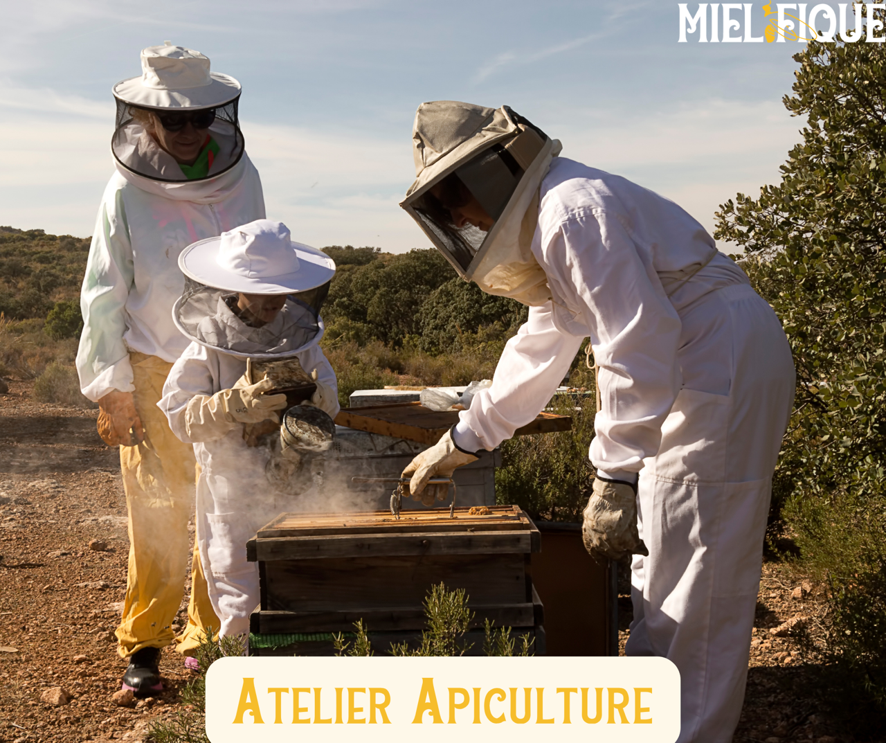 Atelier baptême apiculture_LaFermeMiélifique_Mornant