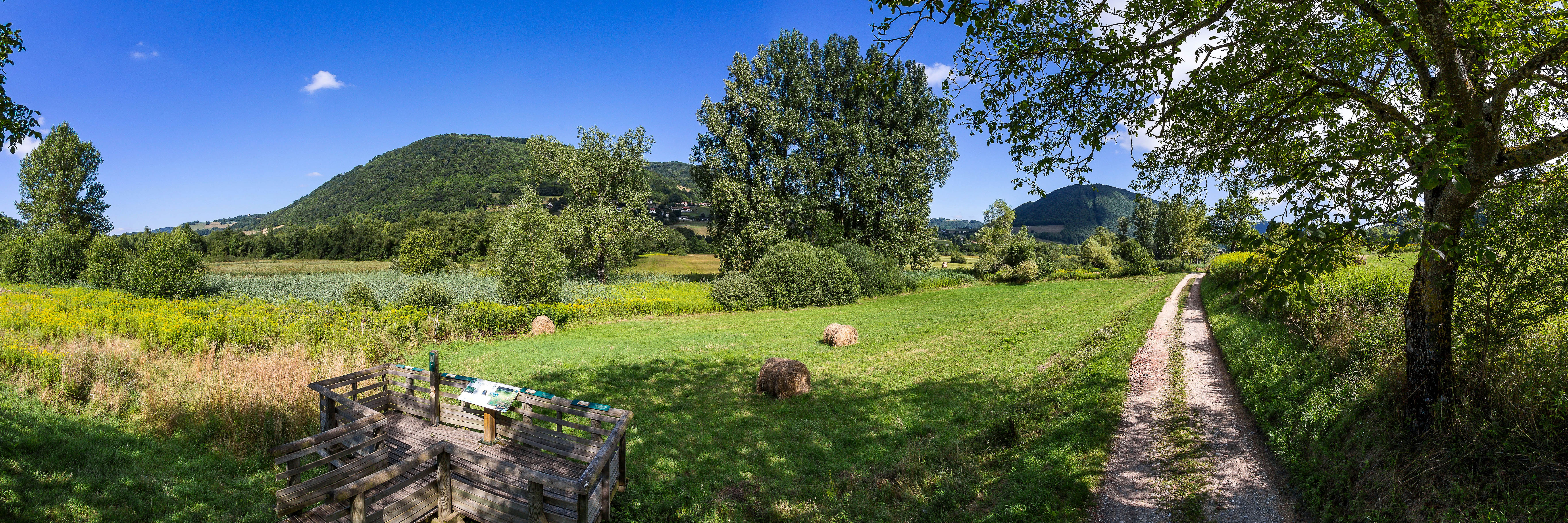 Marais de Chirens 2