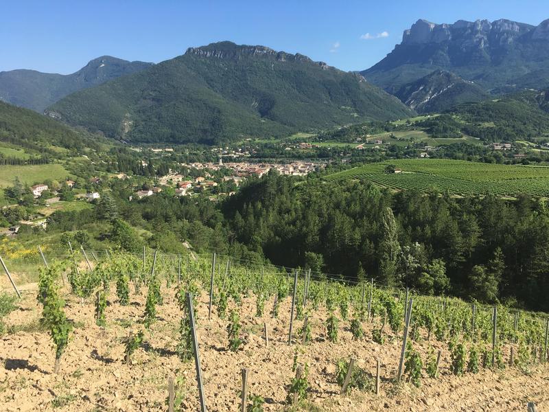 La Drôme de ferme en ferme - Domaine Jean Claude Raspail et fils_Saillans