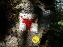 Le Tour des Vaches Rouges