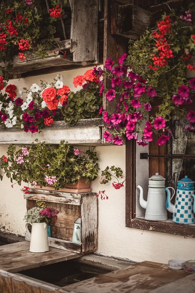 Les frasses Jacquier