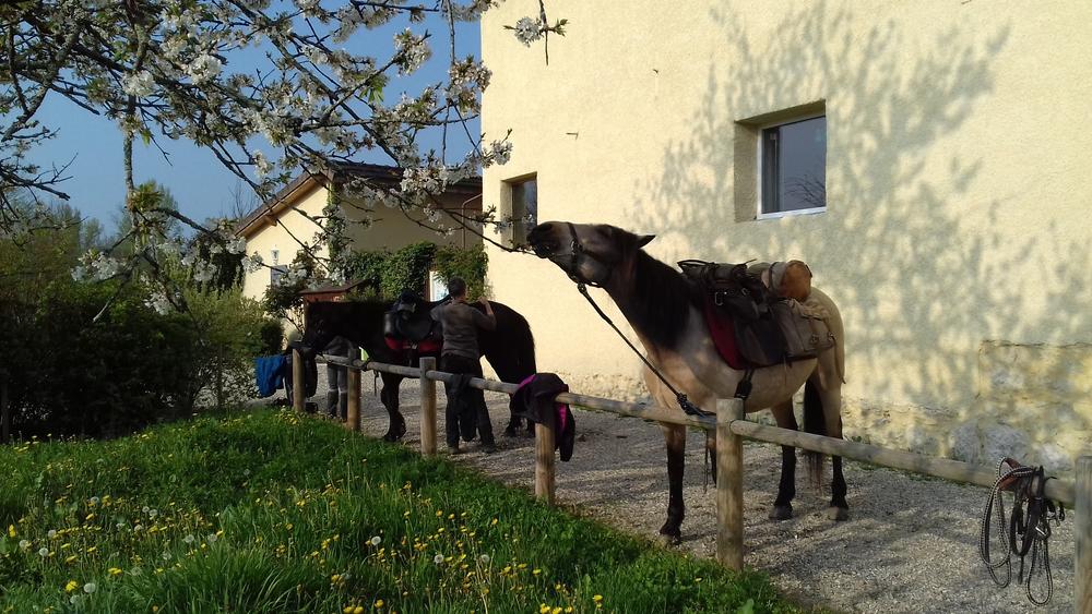 Les Sables - Grand gîte_Brégnier-Cordon