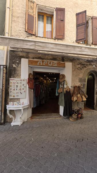 Apus_Castellane