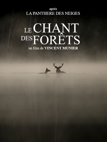 Projection Cinévadrouille film 'Le Chant des Forêts'_Espinasses - © Vincent Munier