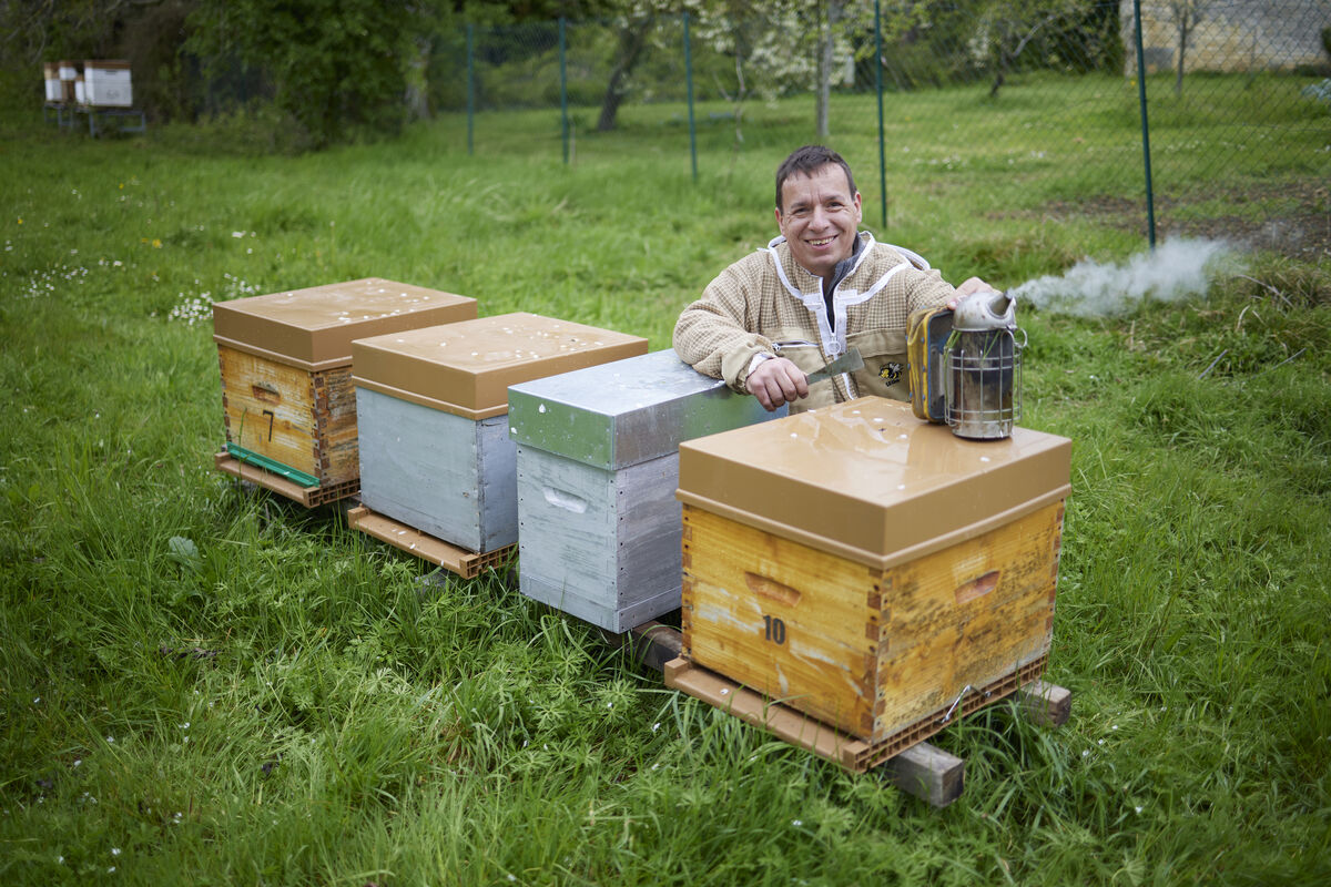 L'Abeille Charentaise