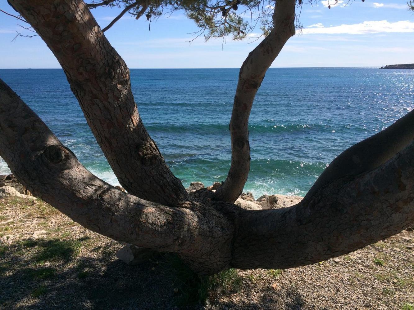 Moana Iti, Sausset-les-Pins - photo 23