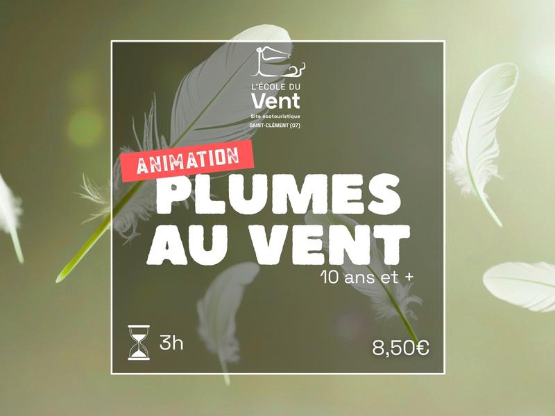 Plumes au vent