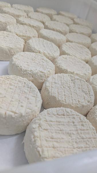 GAEC Dei Reïcampadis_Le Bourguet