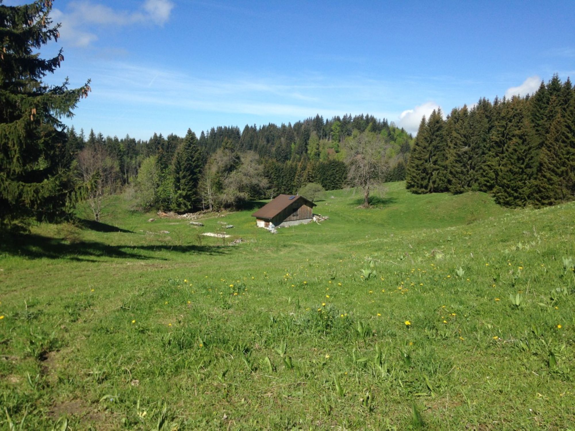 Alpage