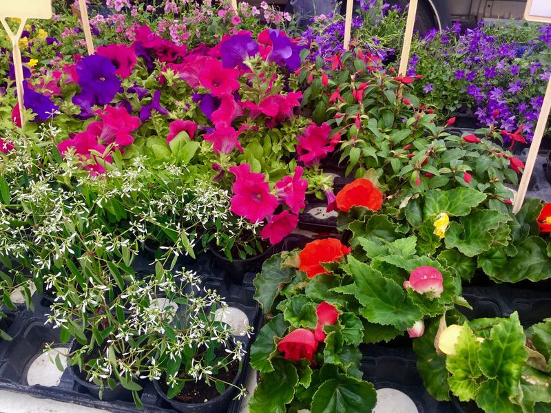 Marché Place Carnot