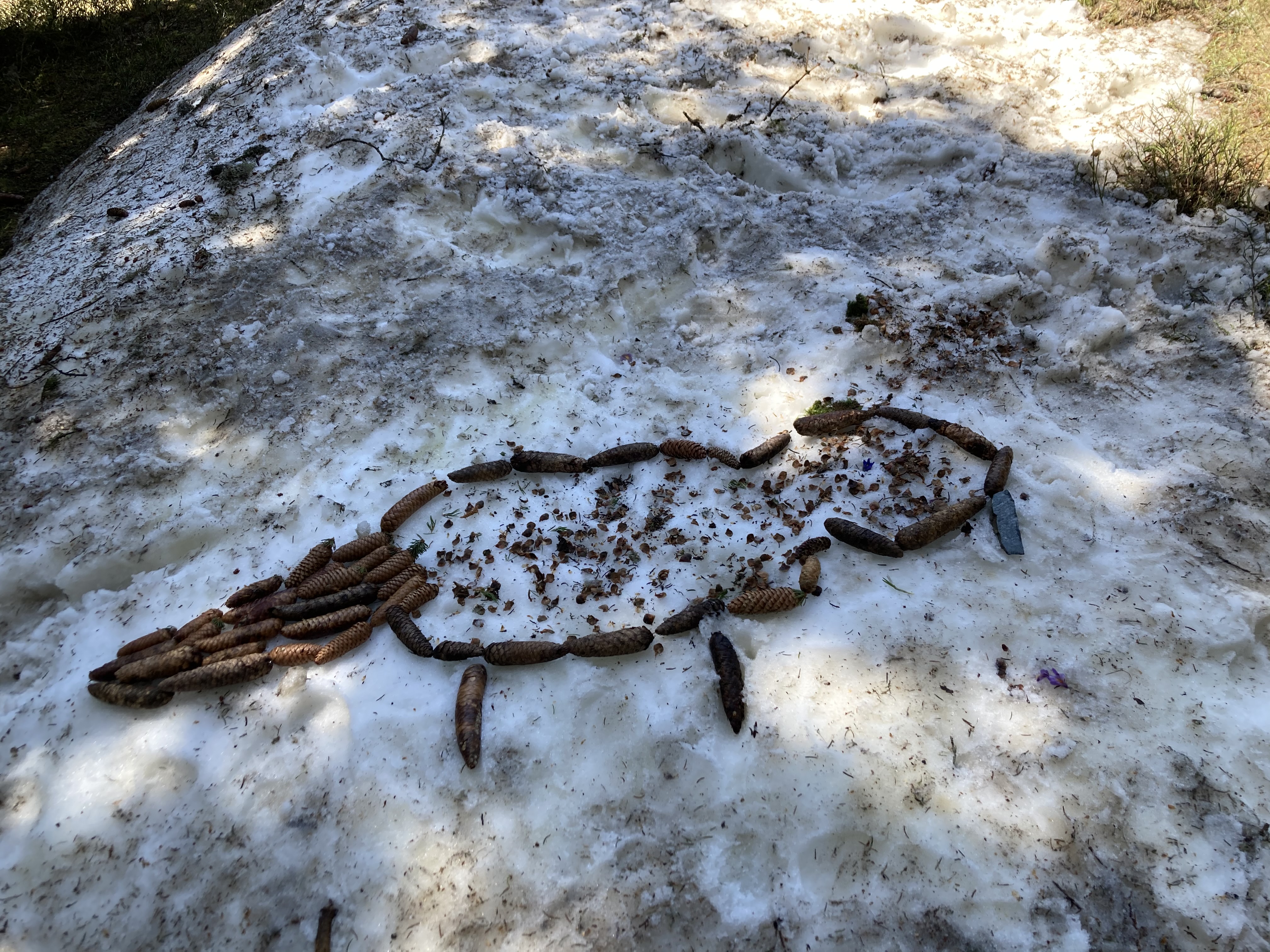 Animation environnement "land art"