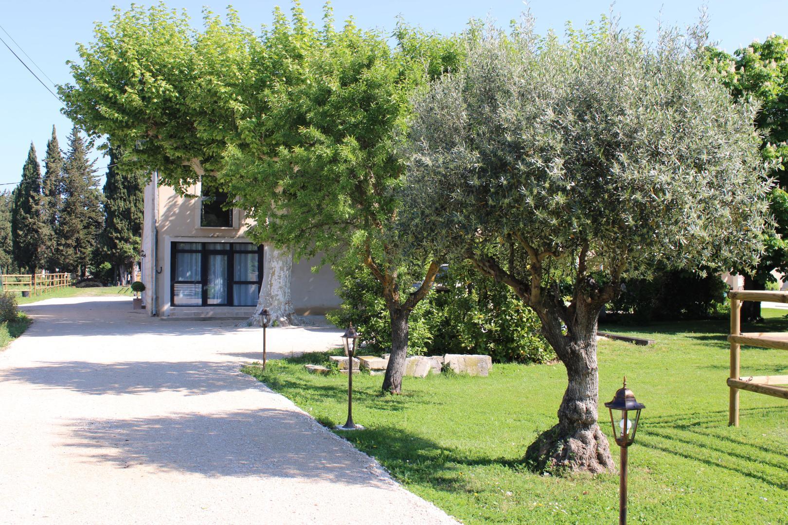 Le Mas des Fontaines, Châteaurenard - photo 14