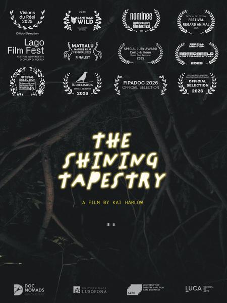 Affiche du film The Shining Tapestry