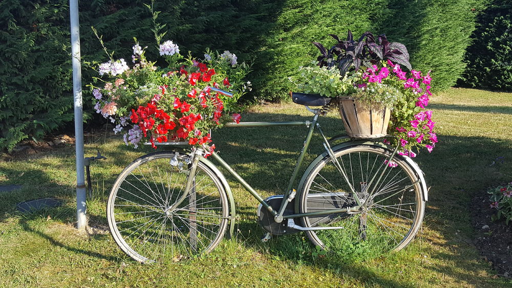 Village fleuri de Ceyzeriat