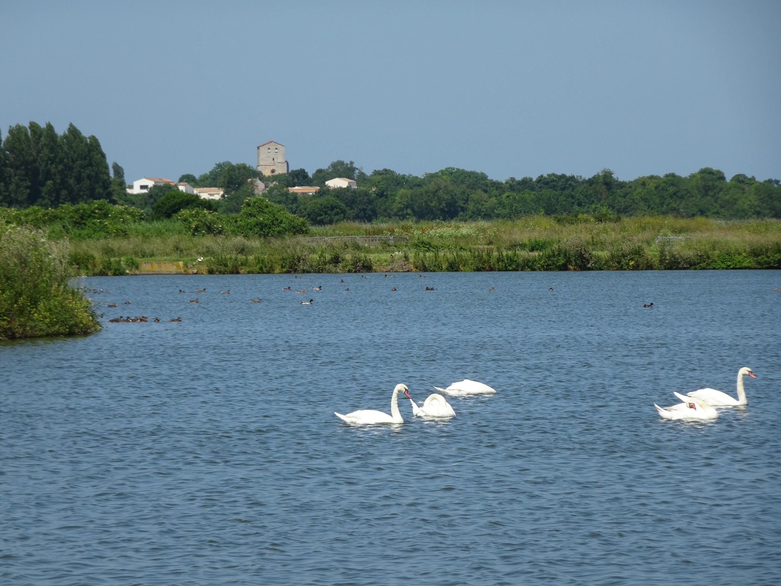 Journées mondiales des zones humides