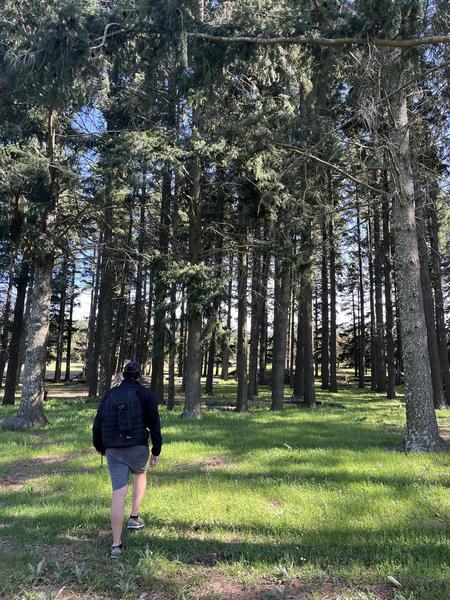Les menhirs du plateau Lambert_Collobrières