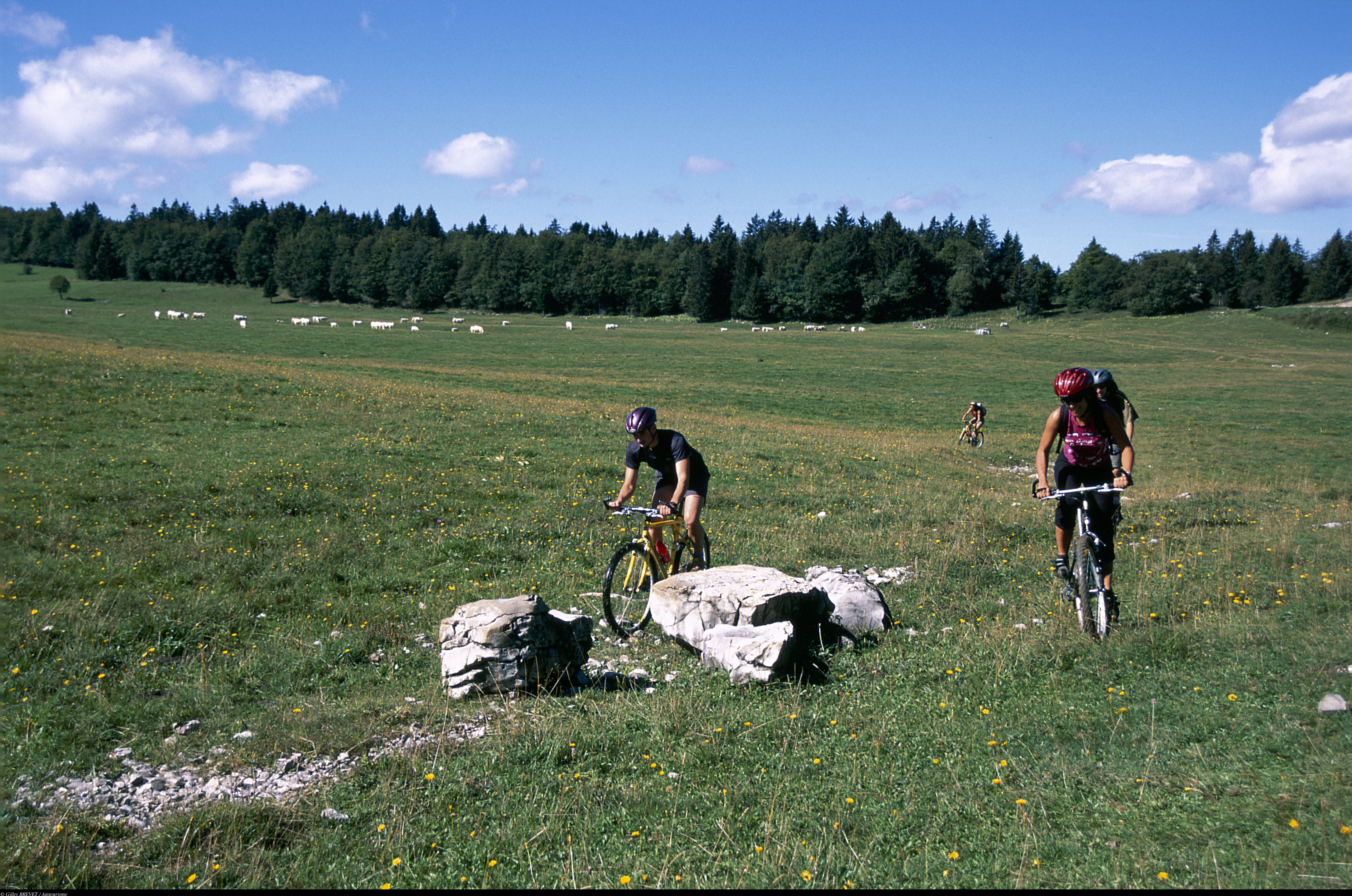 photosFeed-https://static.apidae-tourisme.com/filestore/objets-touristiques/images/177/54/21116593.jpg